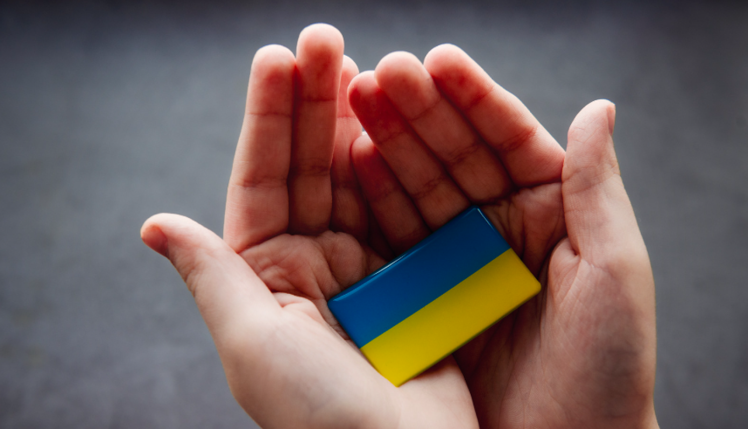 Visbiežāk Ukrainas iedzīvotāji Latvijā konsultējušies pie ģimenes ārstiem un veikuši laboratoriskos izmeklējumus