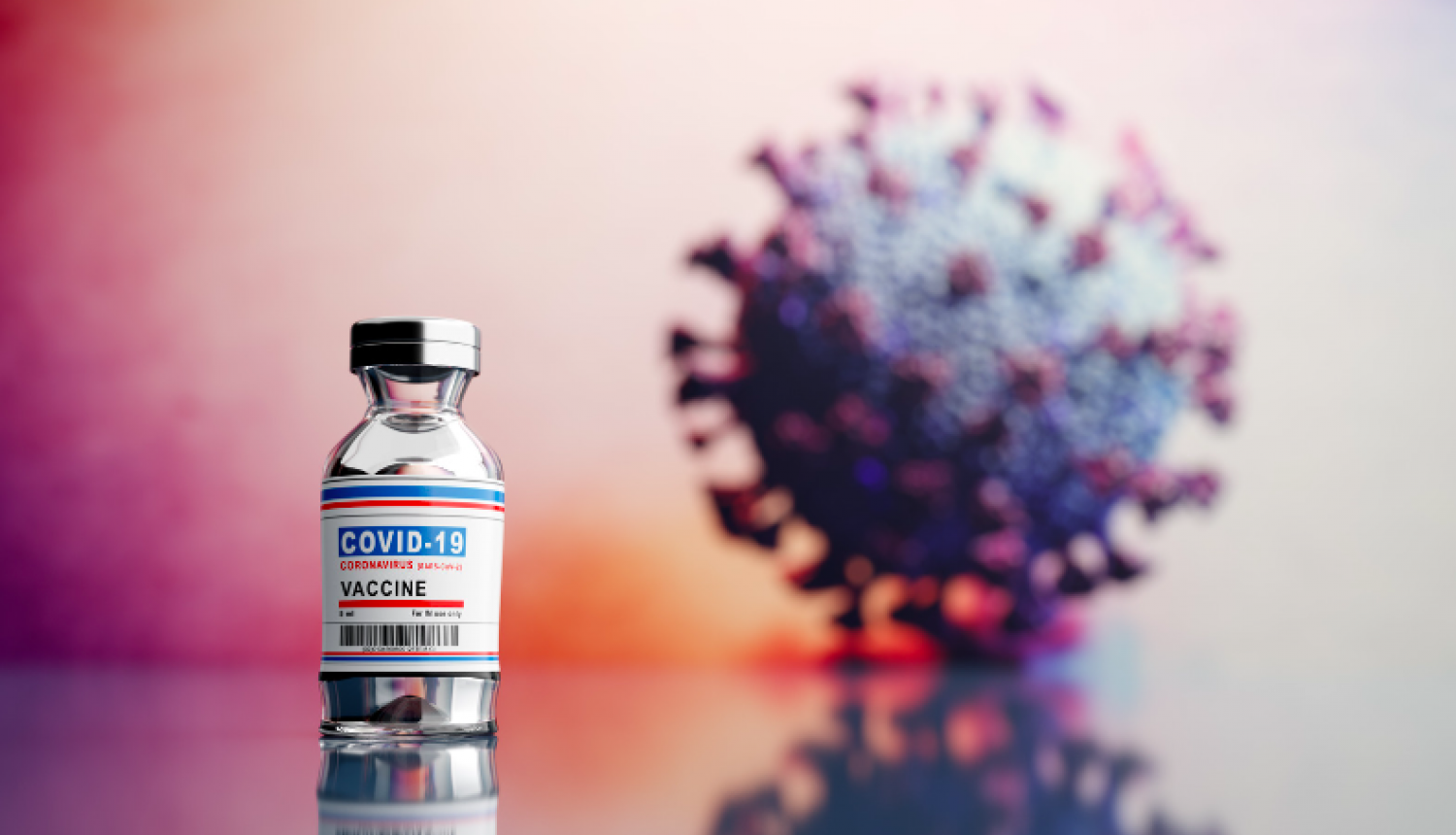 Latvija saņēmusi pielāgotās vakcīnas pret Covid-19; būs pieejamas  ģimenes ārstu praksēs un vakcinācijas kabinetos 